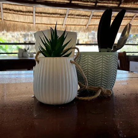 Hotel Aria Quinta Avenida&Rooftop Playa del Carmen