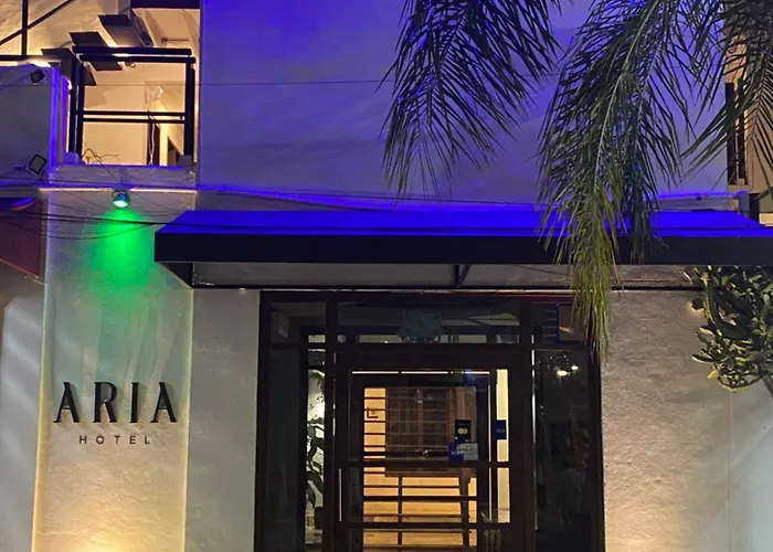 Aria Quinta Avenida&rooftop Hotel